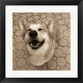 thumbnail image 1 of Great Art Now Smile and The World Smiles with You Crop by Jim Dratfield Framed Wall Art 20"W x 20"H, 1 of 3