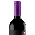 thumbnail image 3 of Vino Tinto Viña Santiago Malbec 750 ml Pack de 4, 3 of 3