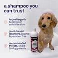 thumbnail image 4 of Petpost Oatmeal & Chamomile Shampoo for Dogs - Soothes Dry, Itchy, Sensitive Skin - Naturally Healing Formula with Aloe & Yucca - 16 oz, 4 of 10