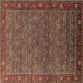 thumbnail image 1 of Ahgly Company Indoor Square Oriental Brown Traditional Area Rugs, 3' Square, 1 of 4