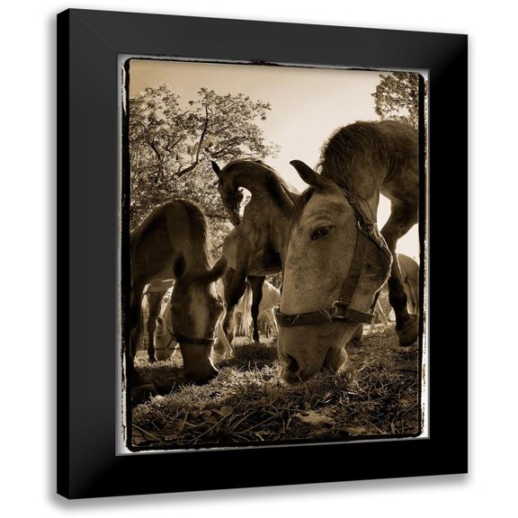 Malovrh, Milan 15x18 Black Modern Framed Museum Art Print Titled - Chow Time