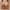 Brown, variant on SDJMa Wireless Bras for Women Full Coverage Comfortable Soft Minimizer Smoothing Back Everyday Bra