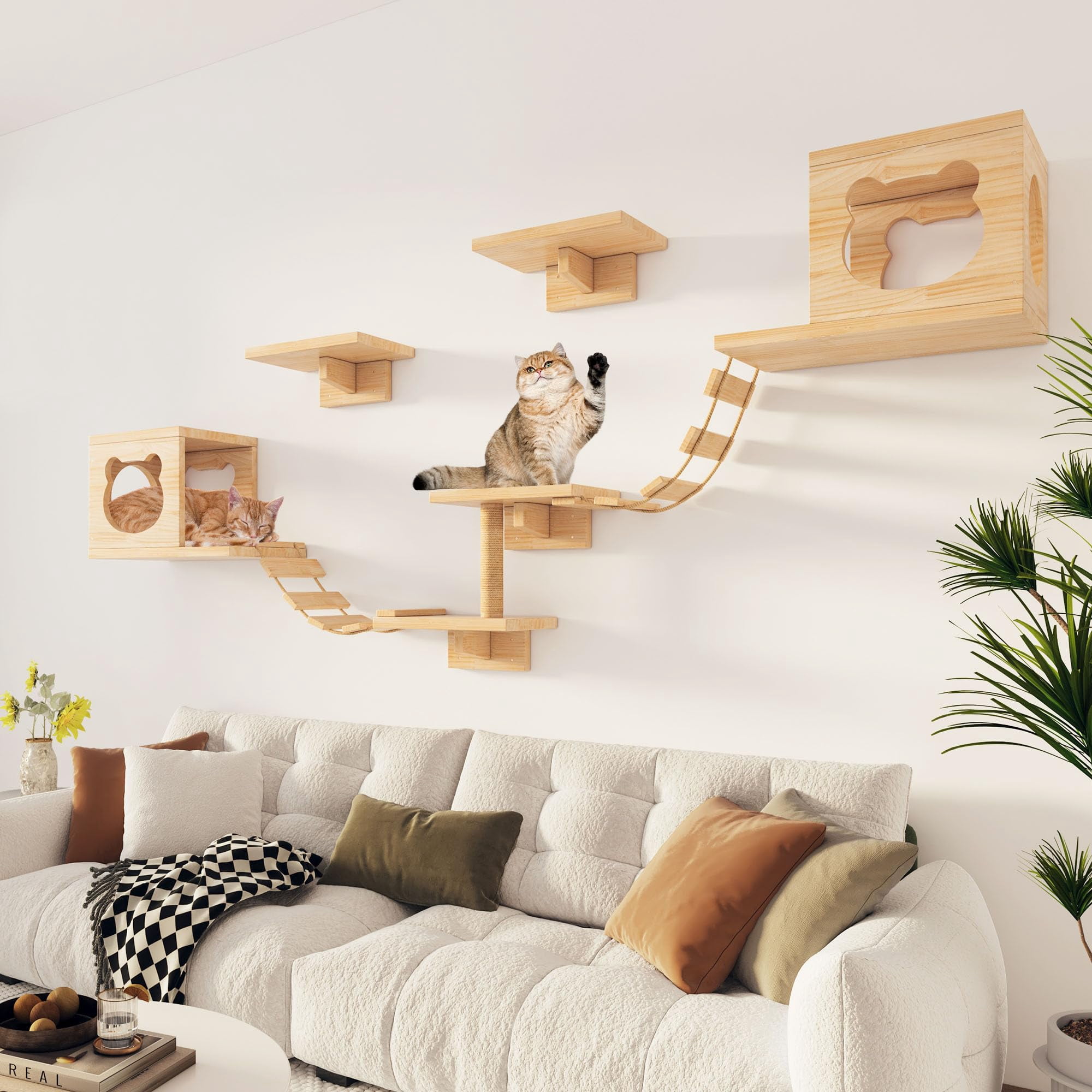 Cat Wall Shelves And Perches  Pine Wooden Furniture Climbing With Climber Condo Ladder & Platform