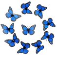 thumbnail image 1 of 10 Pcs/Set Butterfly Refrigerator Magnets 3D Realistic Butterfly Strong Magnet Anti-slip Firdge, 1 of 4