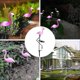 thumbnail image 5 of 2 Pack Pink Flamingo Solar Outdoor Led Lawn Lights Decorative Pile Lights Pink Flamingo Garden Pile, 5 of 5