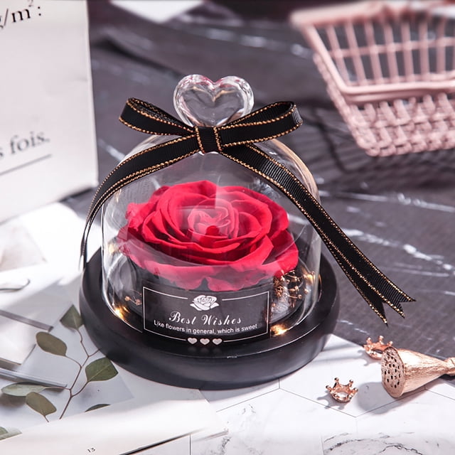 Flores secas de Navidad para el Día de San Valentín para decoración del hogar, regalos de boda, flores secas, decoración eterna para el hogar de rosas reales con LED en vidrio Wmkox8yii gf7531