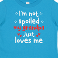 thumbnail image 4 of Inktastic I'm Not Spoiled My Grandpa Just Loves Me Boys or Girls Toddler T-Shirt, 4 of 5