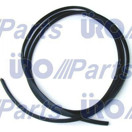 Windshield Seal
