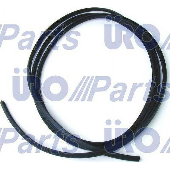 Windshield Seal