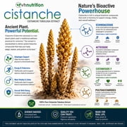 VH Nutrition CISTANCHE | Cistanche Capsules | Hormone Support Supplement for Men* | 700mg per Serving | Standardized Cistanche tubulosa Extract - 60 Capsules