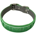 thumbnail image 2 of Dublin Dog Original No Stink Strong Waterproof Collar for Medium, Large Dogs, 2 of 6