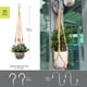 thumbnail image 3 of Colgador de macramé para plantas RIFNY, cuerda de algodón de 89 cm con ganchos, paquete de 3, 3 of 8