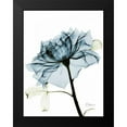 thumbnail image 2 of Koetsier, Albert 15x18 Black Modern Framed Museum Art Print Titled - Teal Rose 2, 2 of 5