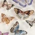 thumbnail image 4 of Set of Two Framed Under Glass Butterflies 8x10 - FRENCH, 4 of 4