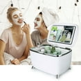 Personal Chiller 6L Cosmetics Skin Care Vanity Mini Refrigerator, White