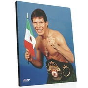 Julio Cesar Chavez Posed 16"x20" Stretched Canvas