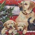 thumbnail image 5 of Jbralid Cortina De Ducha Navideña, Camión Rojo Vintage Con Árbol De Navidad, Lindo Perro, Cortina De Ducha Para Niños, Cuadros De Búfalo, Decoración De Baño Impermeable Con Ganchos De 72 X 72 Pulgadas, 5 of 5