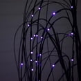 thumbnail image 6 of Nearly Natural 4ft. Pre-Lit Halloween Black Willow Artificial Fall Tree with 120 Orange and Purple LED Lights, 6 of 18