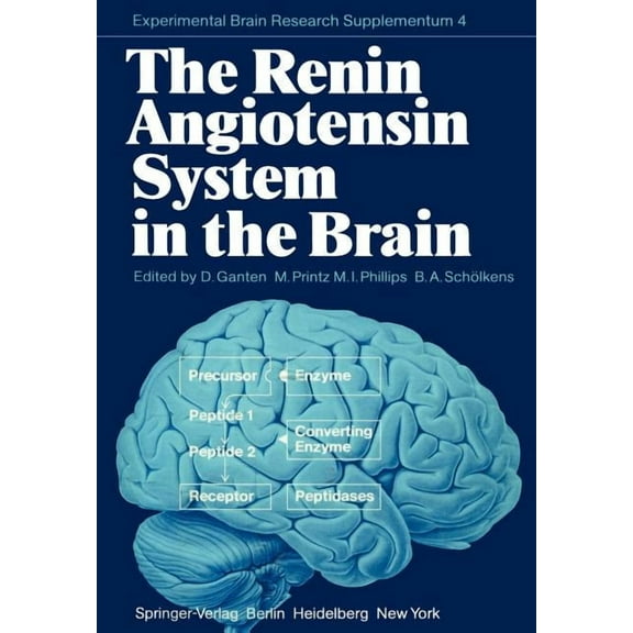 Experimental Brain Research The Renin Angiotensin System in the Brain: A Model for the Synthesis of Peptides in the Brain, Book 4, (Paperback)