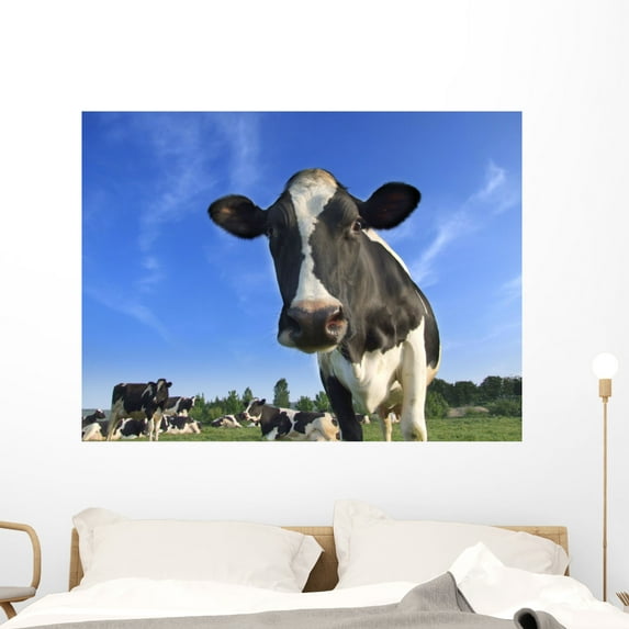 Dairy Cows Wall Mural by Wallmonkeys Peel and Stick Graphic (48 in W x 36 in H) WM23731