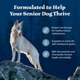 thumbnail image 3 of Blue Buffalo Wilderness Senior High Protein Dry Dog Food Plus Wholesome Grains, Chicken, 24 lbs., 3 of 12