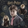 Trends International 2027 Harry Potter Wall Calendar