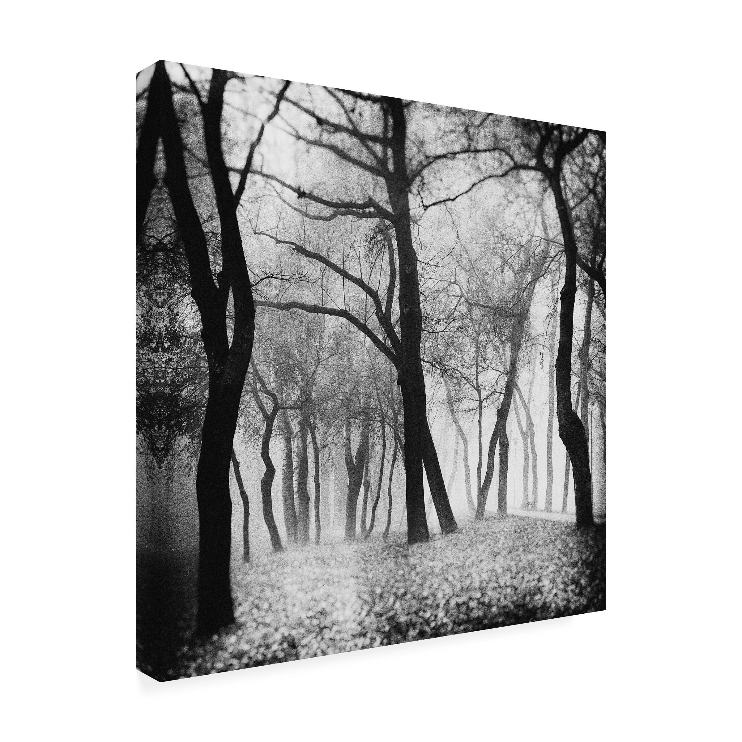 Marchevca Bogdan 'Mystique' Canvas Art