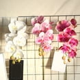 thumbnail image 3 of Phalaenopsis Artificial Orchid Plant Beautiful Addition to Living Room, 3 of 5
