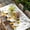 White, variant on Gnomes Sunflower Table Cloths for 4 Foot Rectangle Tables, Bees Branches Floral Farmhouse Patio Waterproof Elastic Fitted Tablecloths, Washable Rectangular Table Cover for Camping