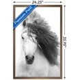 thumbnail image 3 of Grayscale Horse Wall Poster, 22.375" x 34", Framed, 3 of 3