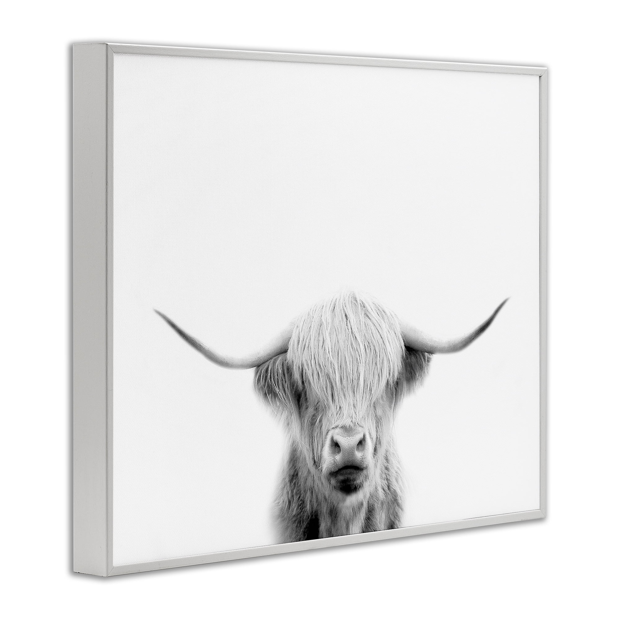 Stupell Industries Scottish Cow Portrait White Framed Giclee Art, design by Leah Straatsma