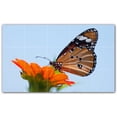 thumbnail image 1 of Picture-Tiles.com: Butterfly Ceramic Tile Wall Mural WAL500289-53XL. 60"W x 36"H using (15) 12" x 12" Ceramic Tiles-Satin Finish, 1 of 3