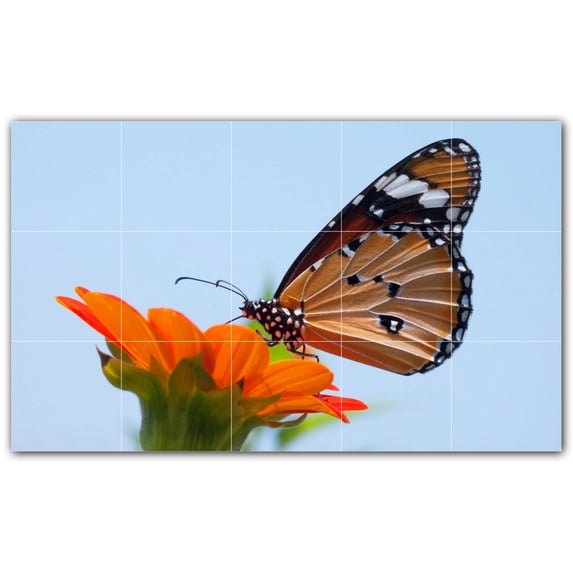 Picture-Tiles.com: Butterfly Ceramic Tile Wall Mural WAL500289-53XL. 60"W x 36"H using (15) 12" x 12" Ceramic Tiles-Satin Finish