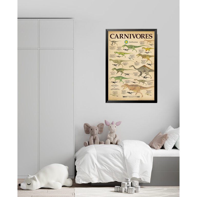 DINOSAURS CARNIVORES POSTER (61x91cm) EDUCATIONAL PICTURE PRINT WALL CHART  ART
