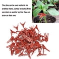 thumbnail image 1 of BEMS-50 Uds Clip de injerto Universal para vegetales vegetales de invernadero, 1 of 5