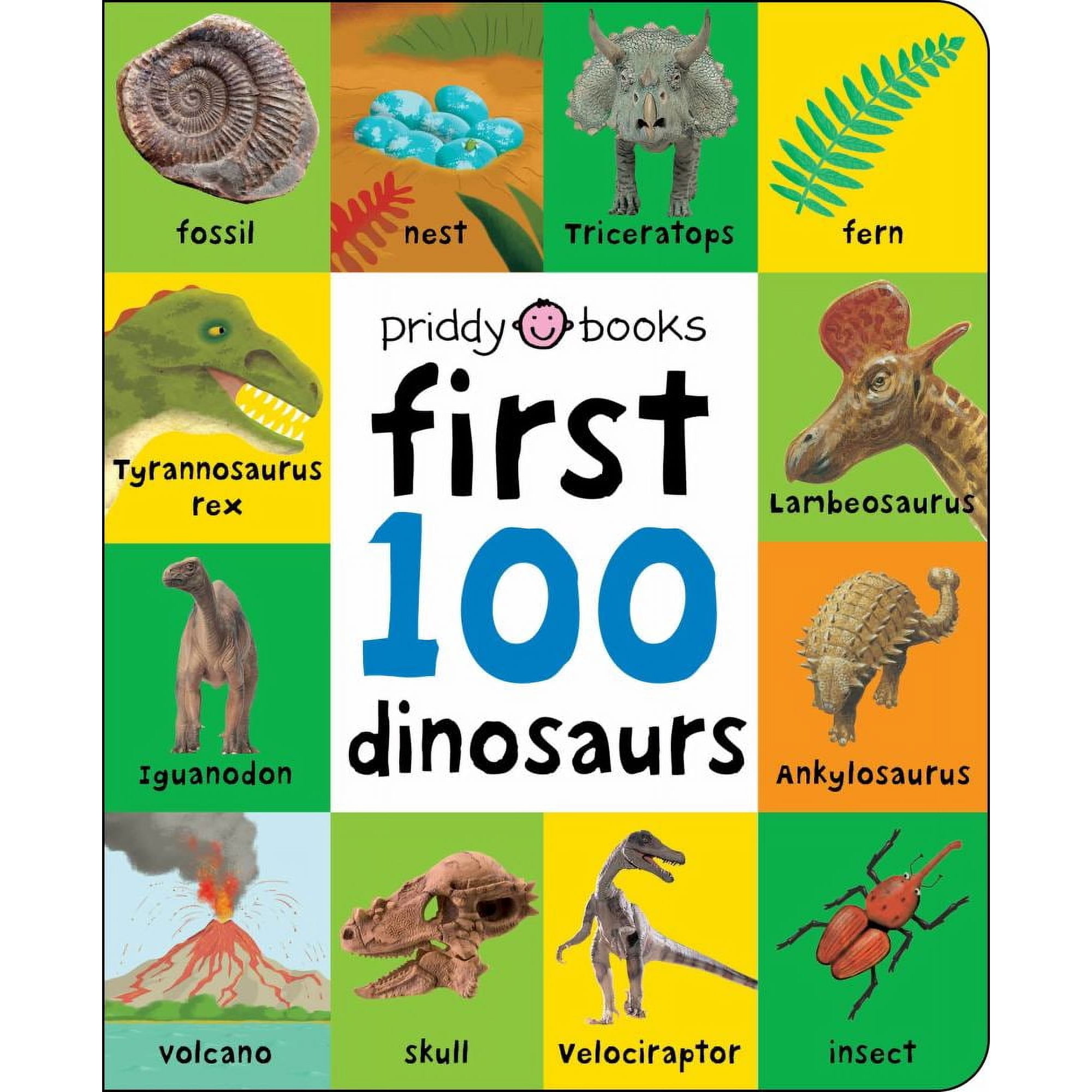 First 100 Padded: First 100 Dinosaurs: An Early Introduction to Our Pre-Historic World! (Board Book)