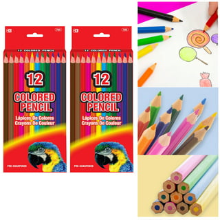 24 Pc Artist Graded Pencils Set Sketching Graphite Pencil Drawing Range 6B  to 6H