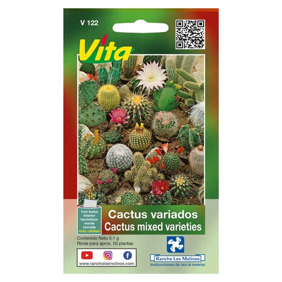Semillas Cactus Variados Vita