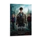 thumbnail image 1 of Harry Potter Cuadro decorativo colgante - Arte de pared - Póster enmarcado - Decoración de pared - Regalos para familia, amigos y aficionados 40*60 cm, 1 of 6