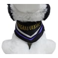 thumbnail image 3 of Way to Celebrate Graduation Plush Dog Black, 13inch, 3 of 4