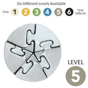 BePuzzled, Spiral Hanayama Metal Brainteaser Puzzle Level 5 Ages 12+