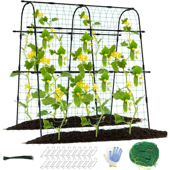 Sedeke 5ft Cucumber Trellis for Raised Bed, Garden Arch Trellis for Climbing Plants Outdoor Indoor, Metal Trellis Support with Net for Vegetables