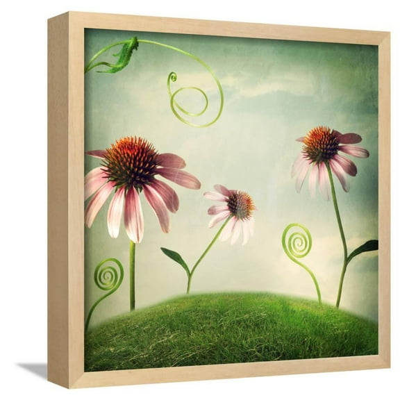 Echinacea Flowers in Fantasy Landscape, Botanical Scenic Framed Art Print Wall Art by Melpomene Sold by Art.Com