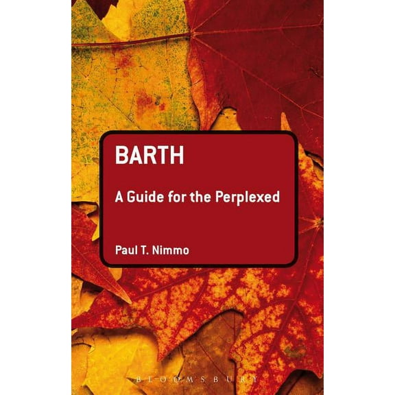 Guides for the Perplexed Barth: A Guide for the Perplexed, (Hardcover)