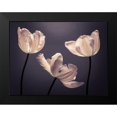 thumbnail image 2 of Frank, Assaf 14x12 Black Modern Framed Museum Art Print Titled - Three Tulips, FTBR-1824, 2 of 5