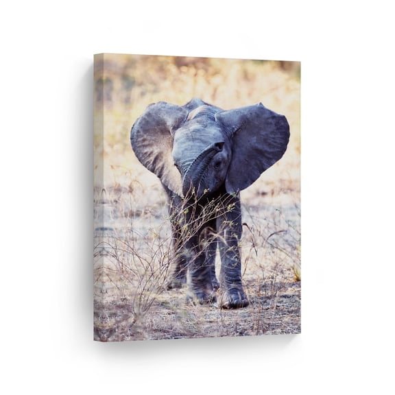 Smile Art Design Portrait of Young Cute Elephant Wild Animal Canvas Wall Art Print Nature African Safari Exotic Wildlife Office Living Room Bedroom Kids Baby Nursery Room Decor - 40x30