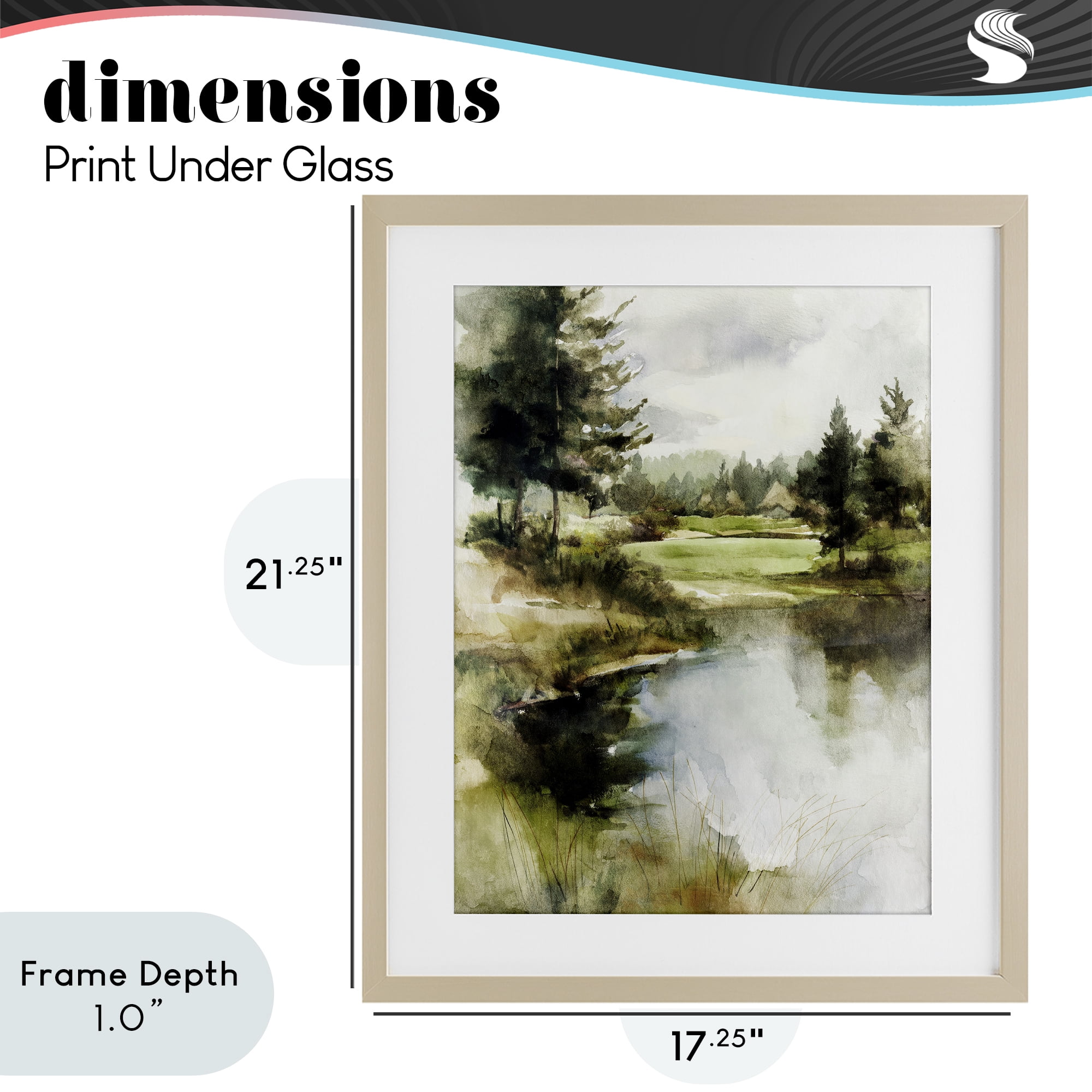Stupell Industries The Secret Grove Birch Framed Print Under Glass, design by Svetlana Aleynikova