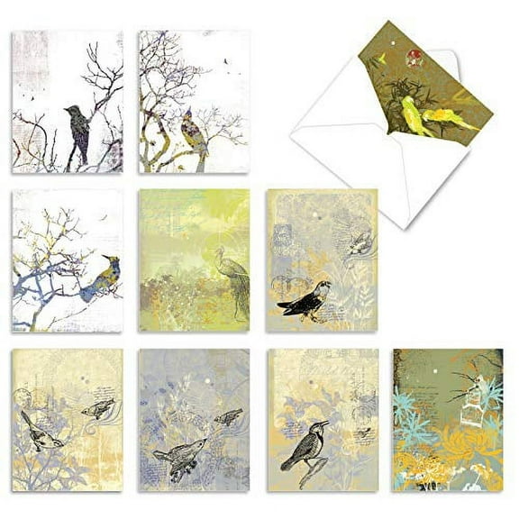 10 Pack All Occasion Blank Note Cards With Envelopes - Bird Collages