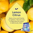 thumbnail image 6 of Dropps Dishwasher UltraWash Plus Detergent Pods, Biobased, Lemon Citrus, 64 Ct, 6 of 11