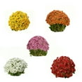 thumbnail image 2 of 20 Bundles Artificial Mums - Artificial Outdoor Sunset Flowers, UV Resistant Look Real, for Balcony Porch Patio （F), 2 of 7